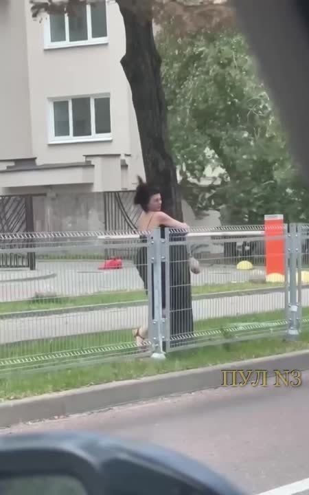 �������, ��������!�: ��������� ������ � ���������� ������ ����� �� ������, ������ ������ �������� �� ������