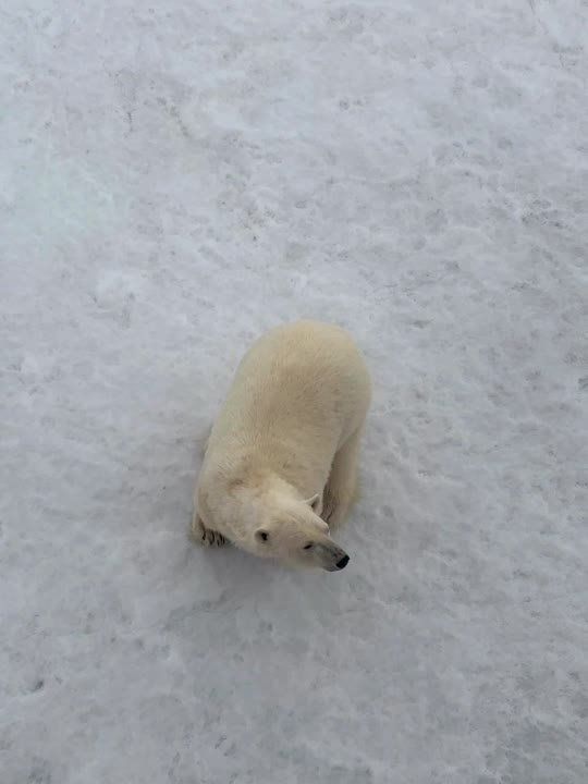 �� ����� 40-��������� ����