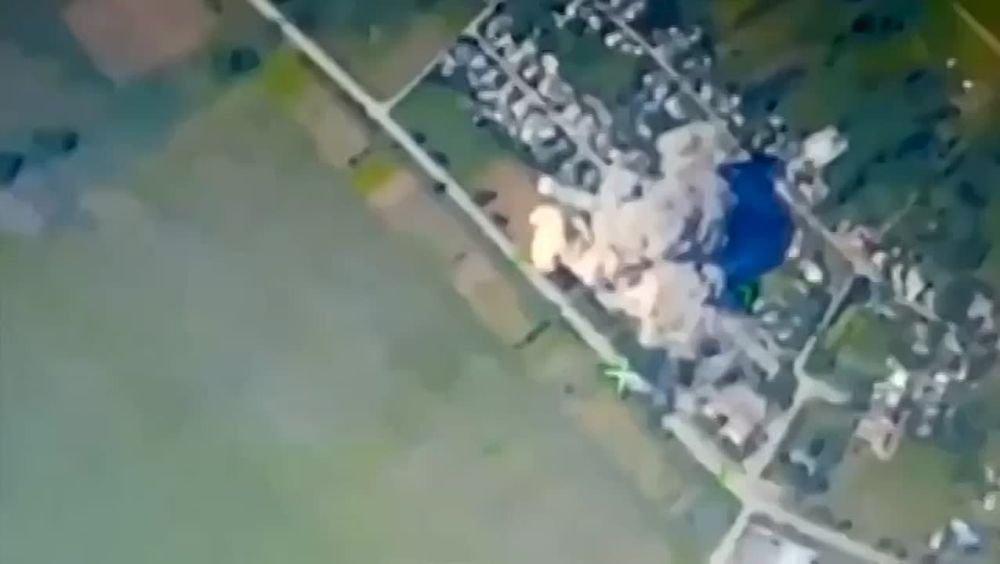 ���� ����� ���������� ������� � ����