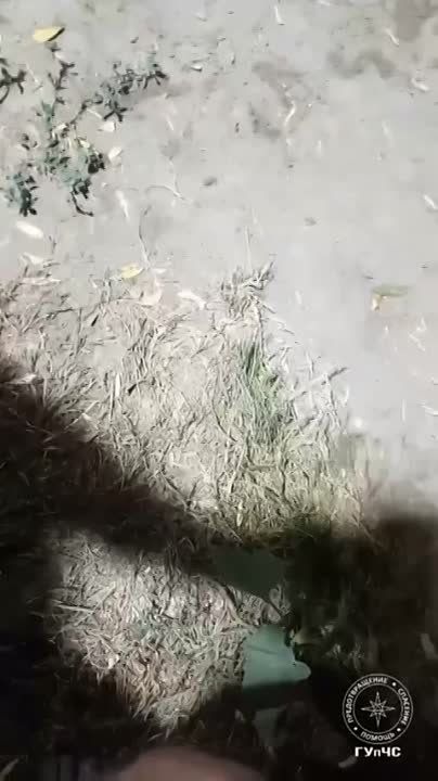 ��� ��������� ������� �����, ������� ���� ����� � ��� �����