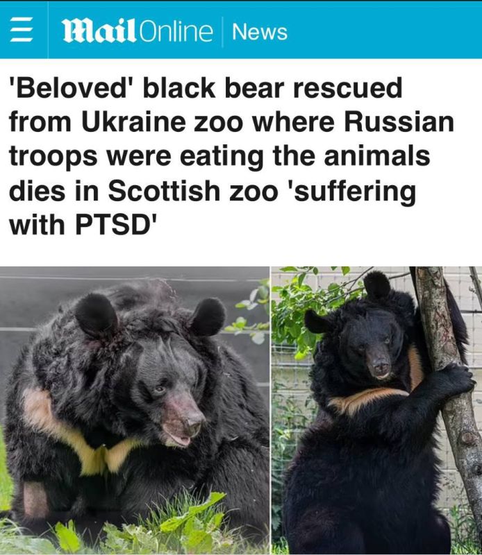 �������� ������ ������� ��������� �� ����������� ��������, ��� ���������� ������� ������� ��������, ���� � ����������� ��������, �������� �� ������������������� ����������� ������������