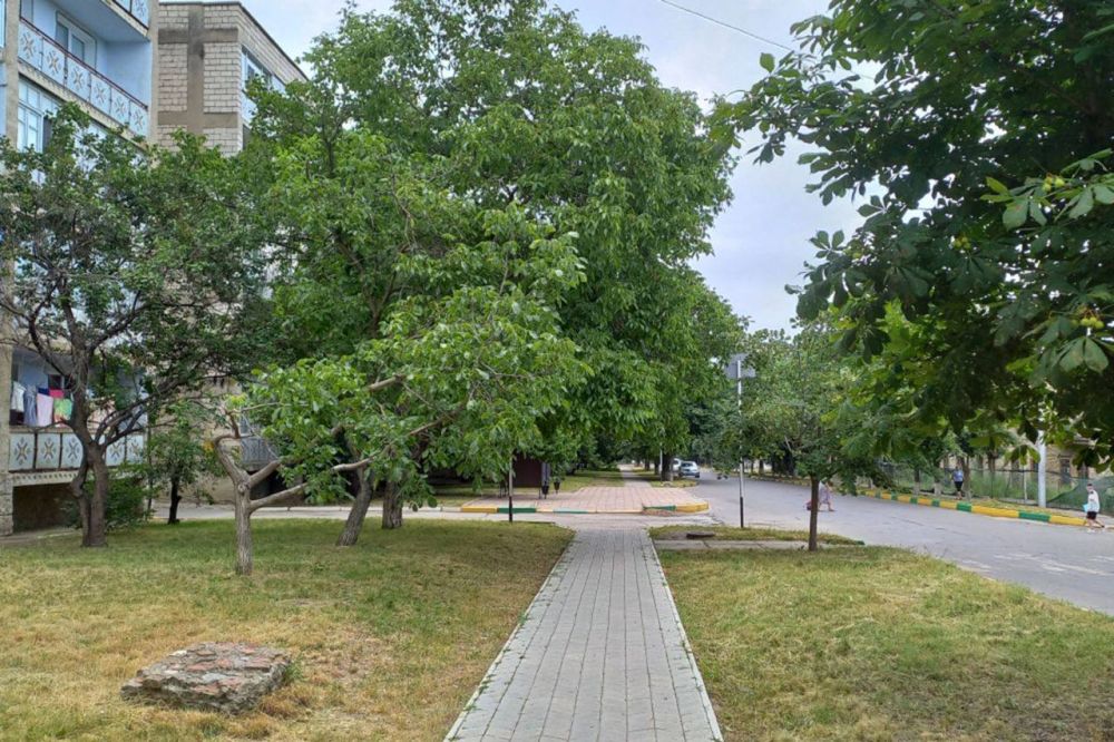 � ���������� ������ ���� ������������� ����� ���������� �������� �� 14-�� ��������