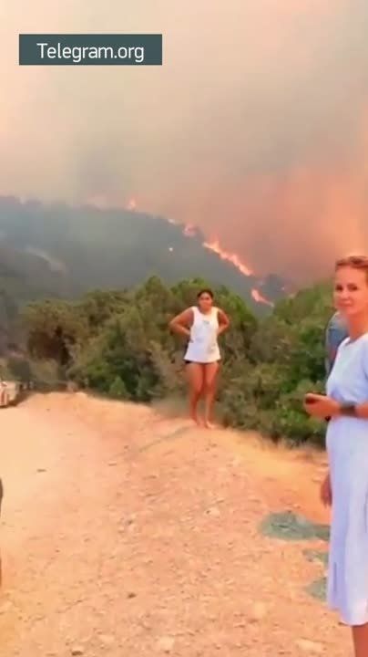 220 ������� ������������ � ������� �������� ����� � ����� ��-�� �������������� ������� ������