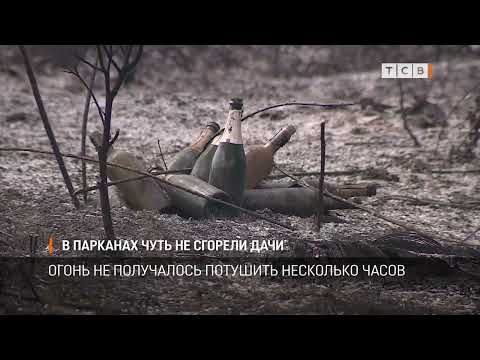 ������� ���� �� ������ � ������� ���� �� ���������� ����