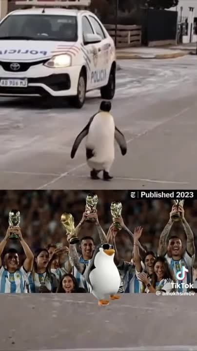 �����������, � ��������� ������ ����� ���������