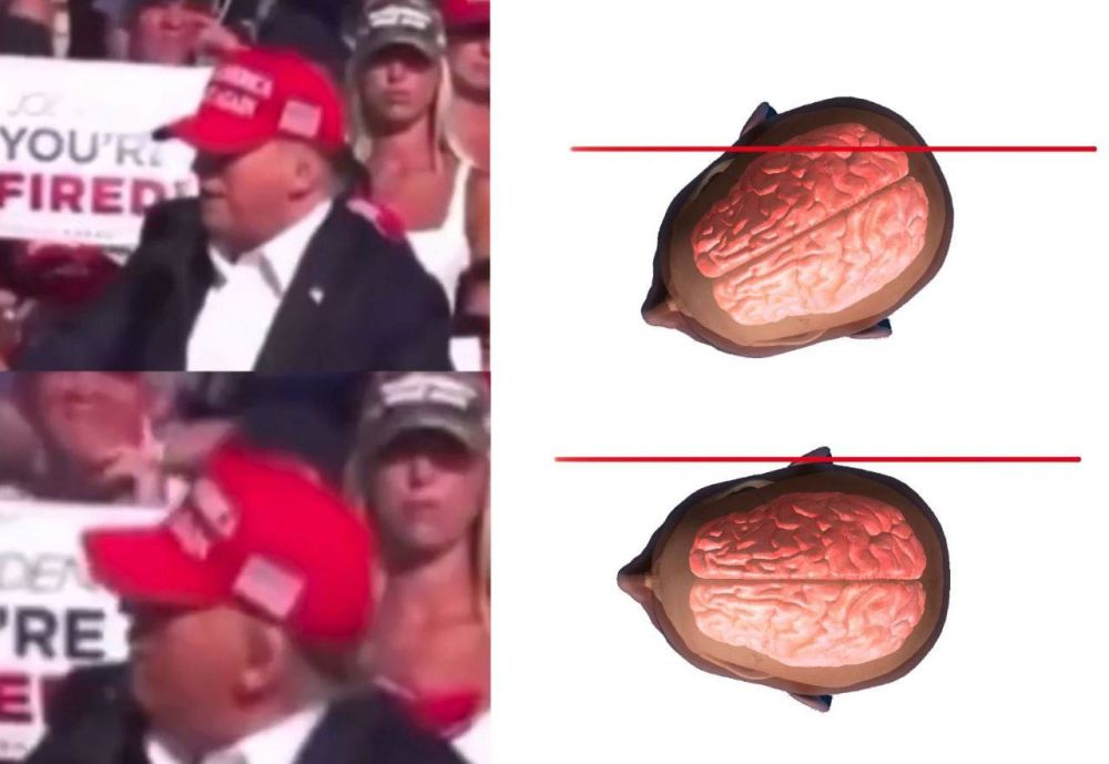 ���� �� ����� ����������� � ��� ������������� ������� ��������: ������� ���� ������ ������� ������/�����������/���