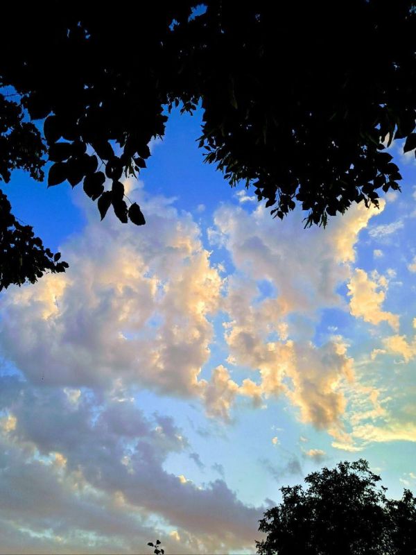 "��� ����� ������� .���� ����� ������� .� ����������� ��������, � � ����� ������ ..."