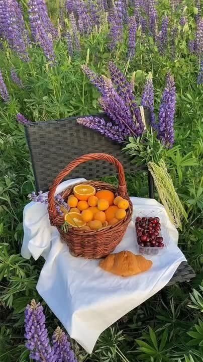 ������ ����!