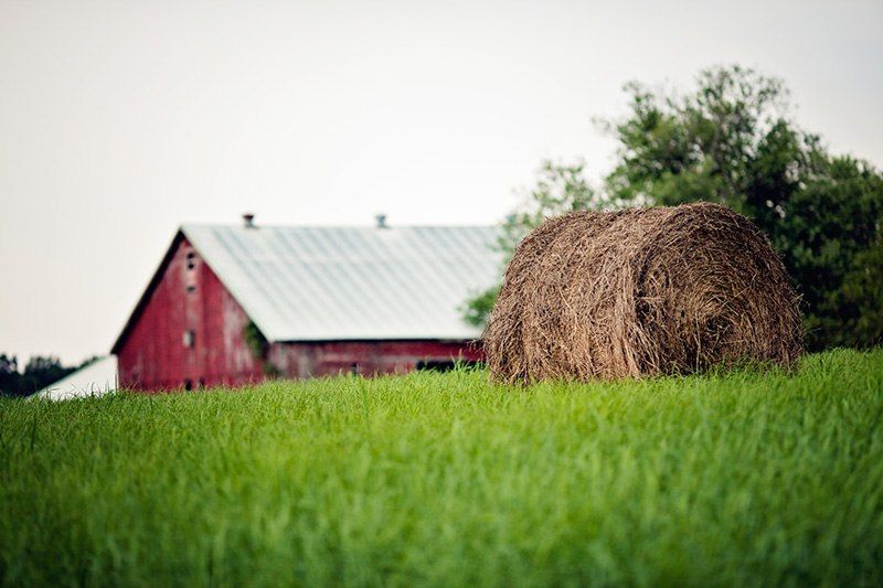 ������� ����������� �����������-���������� �������� ���������� ���������