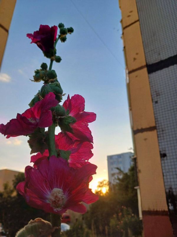 ������� ������ �� 16 - 19 ����