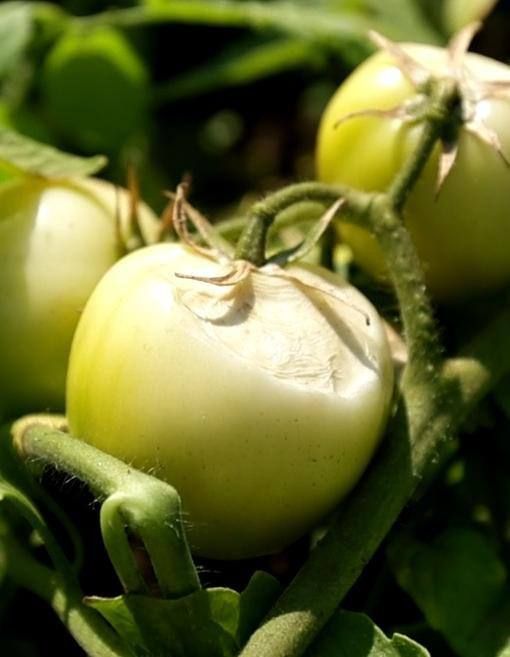 � �������� �������� ��� �� �������, �� ��� ������ ������