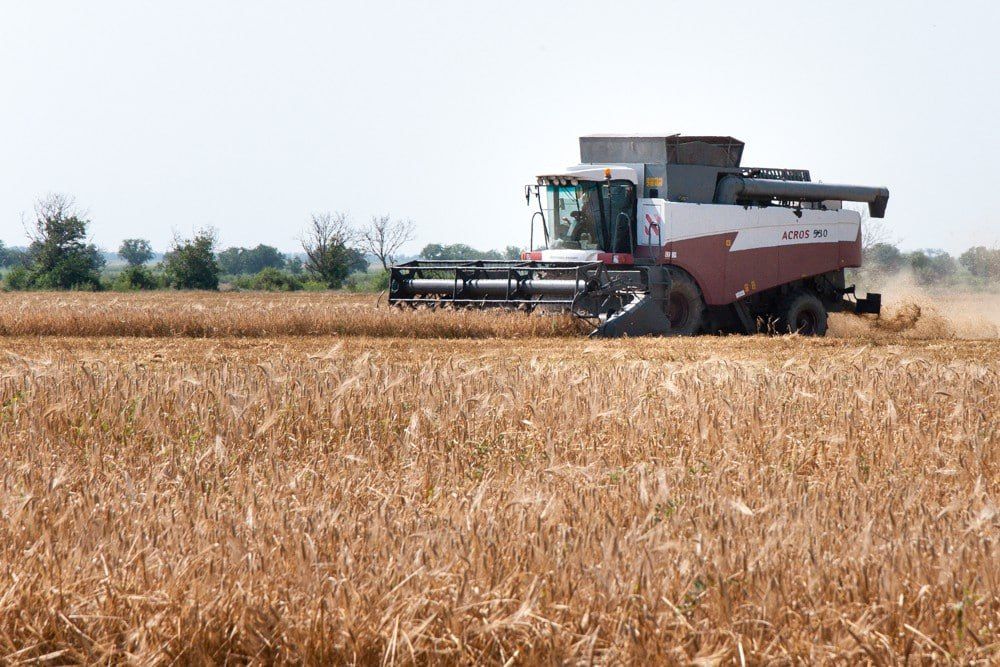 ������������� ���������� ������ �����������-���������� �������� � ������������� ���������� � �������������� ����������������, ��� �������� ������� ����������� ���