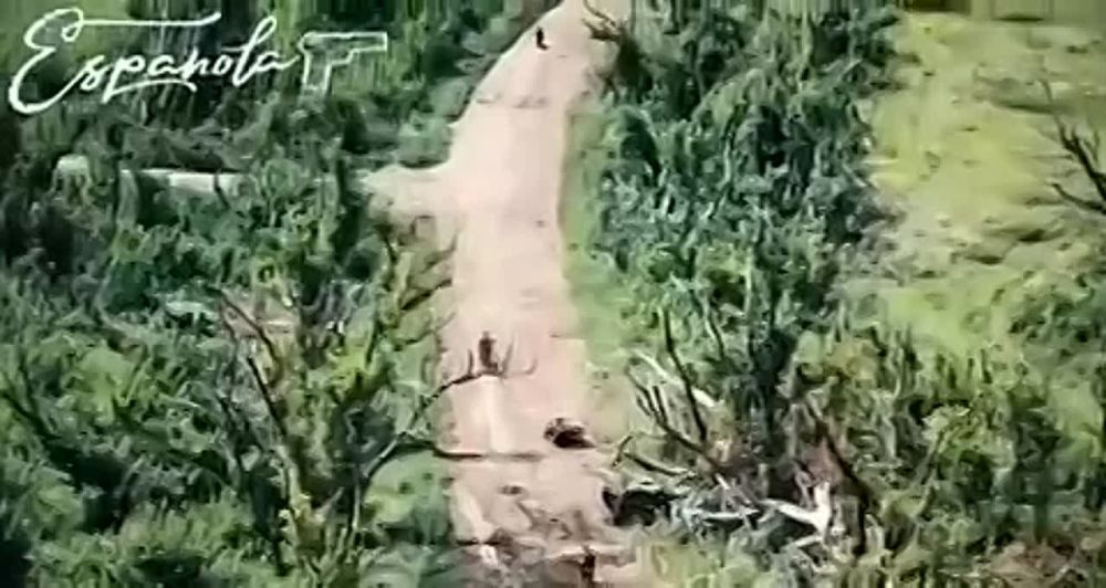 ��� ����� ����� �������