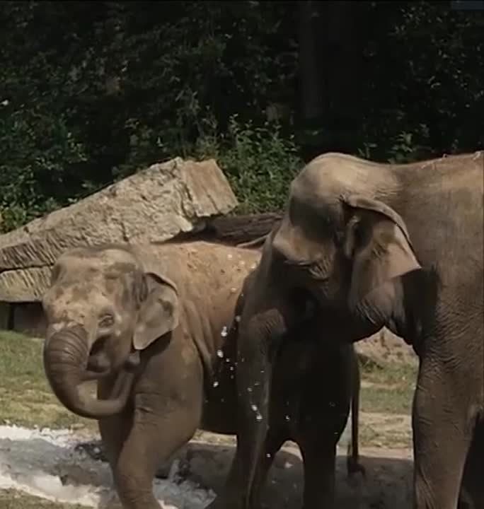 ��� �������� ������� ������� �������� �� ����