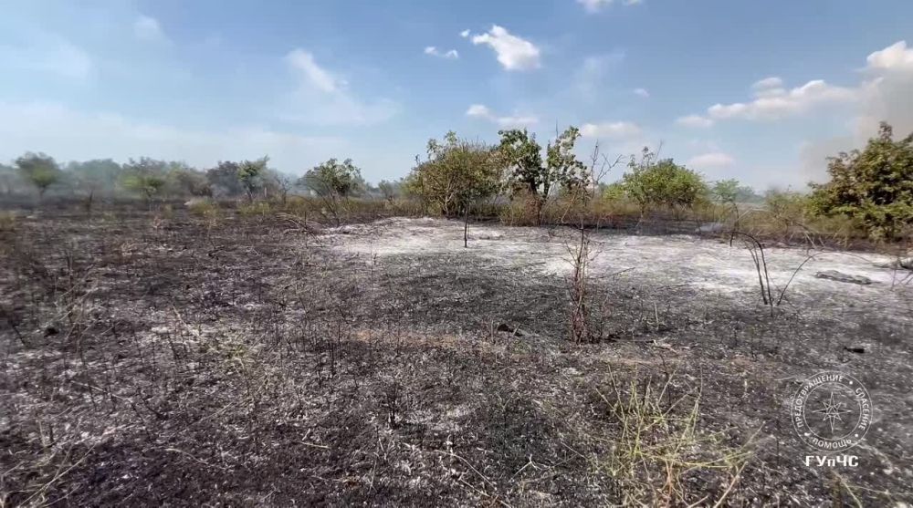 ����������� ������ � ��������: