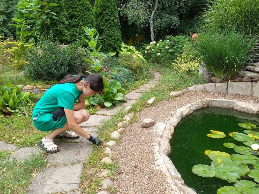 ����� 50 ������������ ���������� � ������ ������ ������� �������� ������� ���������� �� ������, ���������� �� ����� ������