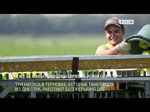 � �������� �� ���� ����� ����������� ����������� ��������, ������� ������ �������� ������ ����� ��� ������