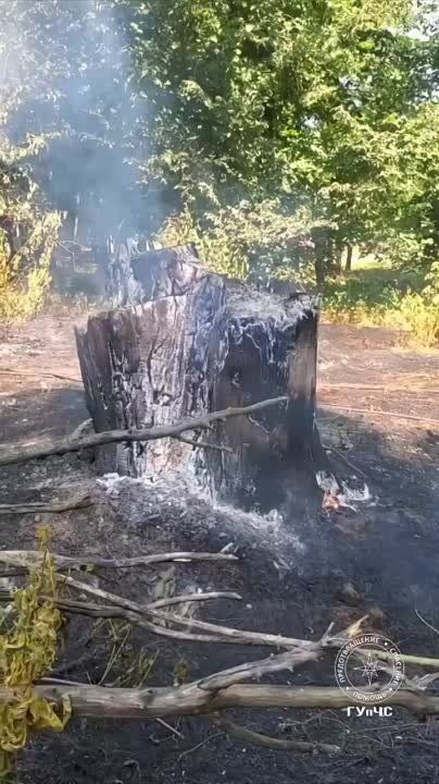 ���������� ����������� ������, � ��, ��� �������� �� ������