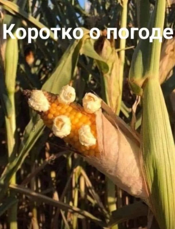 ������� � ������ - ����� ������ ��� ����