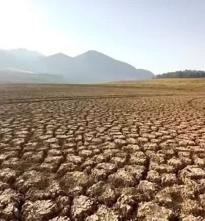 ����� ������� �� ������� �������� ��-�� ����