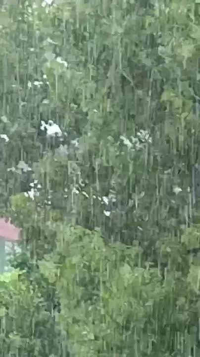 � ������� ������!