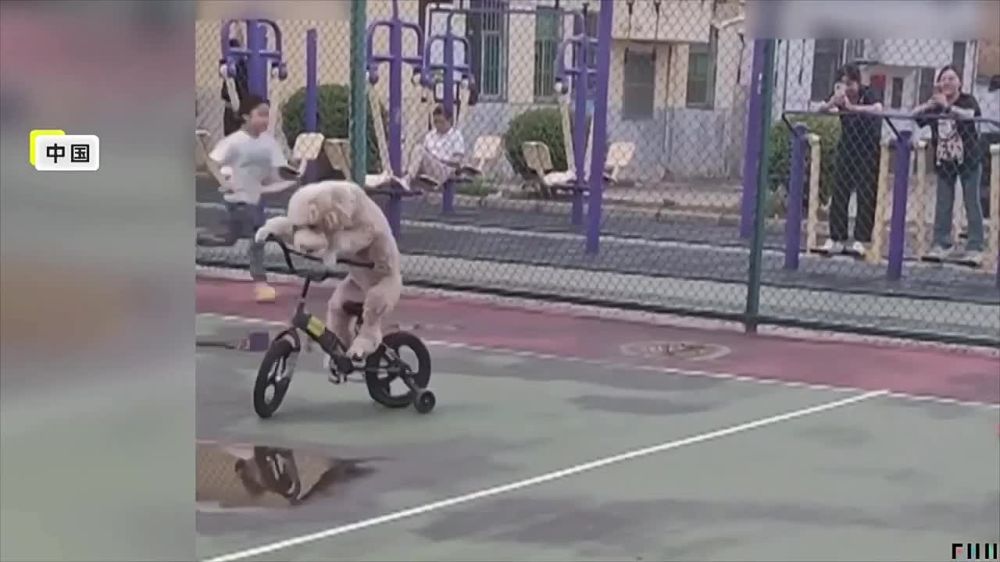 � ���� �������� ������������ ������, ������� ����� �������� �� ����������