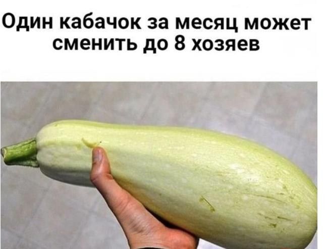 ����� ����� ��� ����, ����� ���� ���� ������� �������