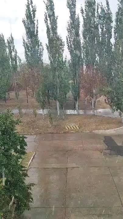 ������� ������� ��������������� �����, �������� �����