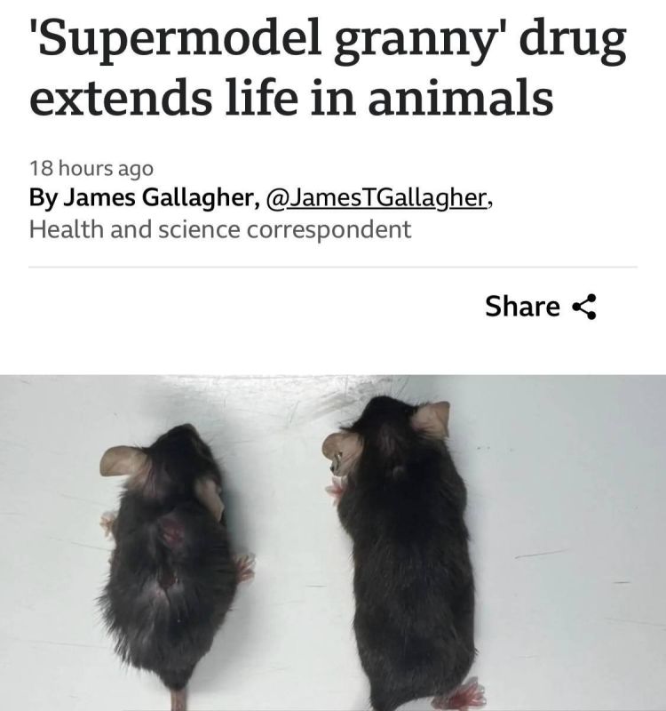 ������ ����������� ���������, ������� ��������� ��������