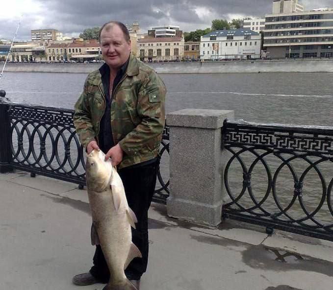 ���������� ���� ����� ������ � ����� � ��������, ��������� ����� �� ����������� ���� � ������