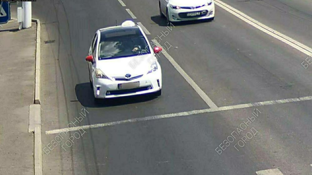 �������� �������. ����� �������� ��� ������