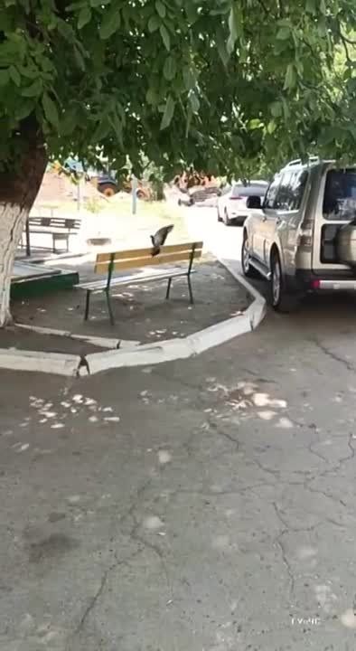 ������ ���������. � �������� ������ ���������� � ����� ����������. �������. ����� �������� � ������. ������� �������� ������� ����������