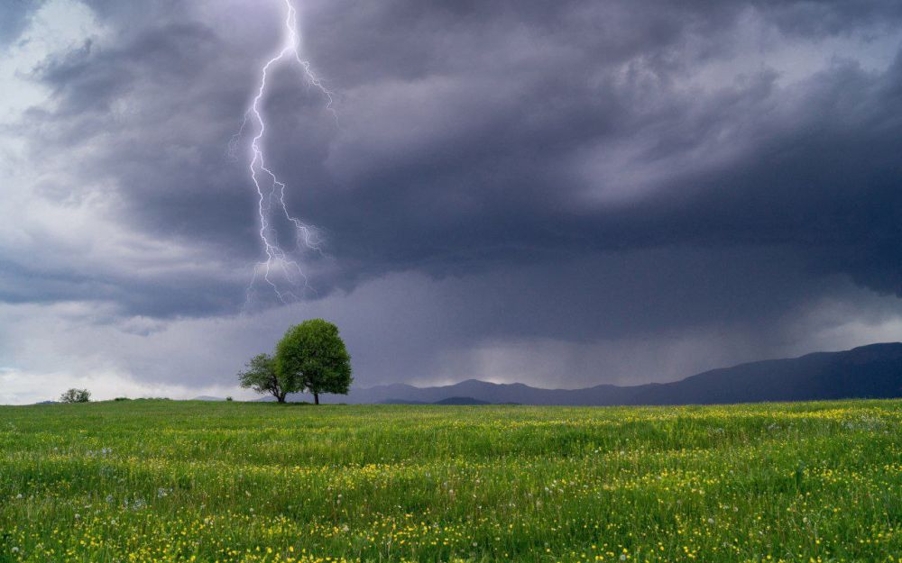 ��������: �����!. �������, 18 ����, ������� �� ���������� ���������� ��������� ����� � ��������������� ������, � ��������