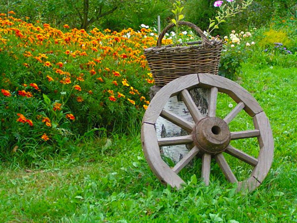 ������ ��� �������� �������, ������������� �� ������, ��������� �� ���������� ������