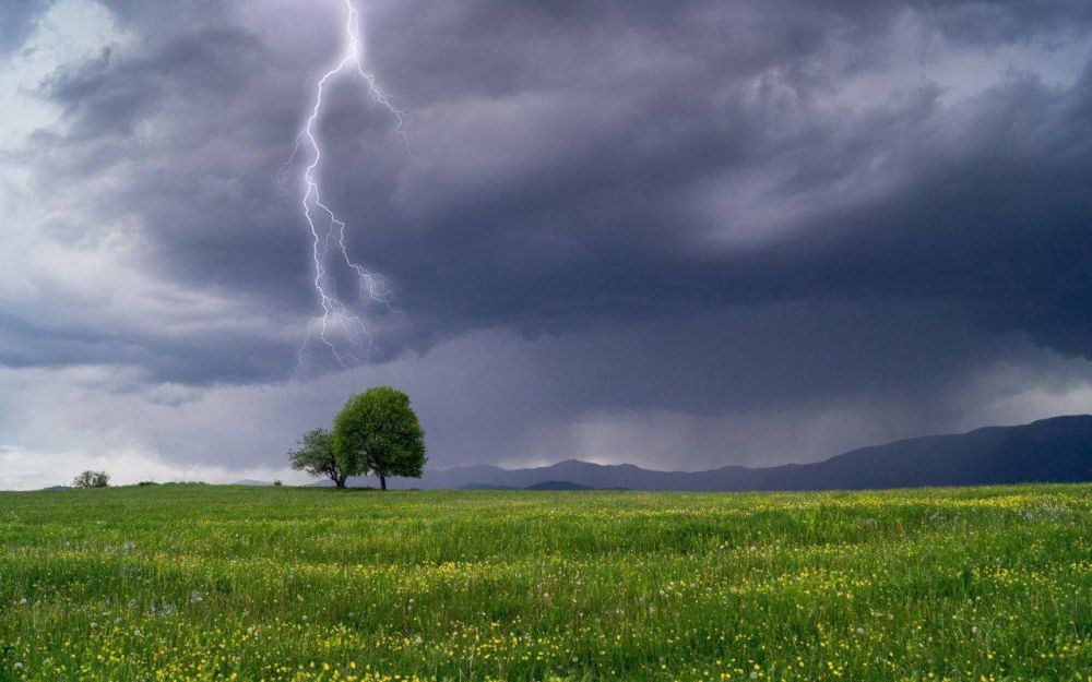 ��������: �����!. �� ���������� ���������� 18 ���� ������� ��������� ����� � ��������������� �����, �������� �������������