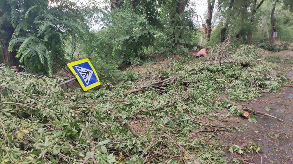 ��������� ������: � ������� ����� ���������� ��������� ��������� - ���� ������������ ����� ������������� �������� ���������