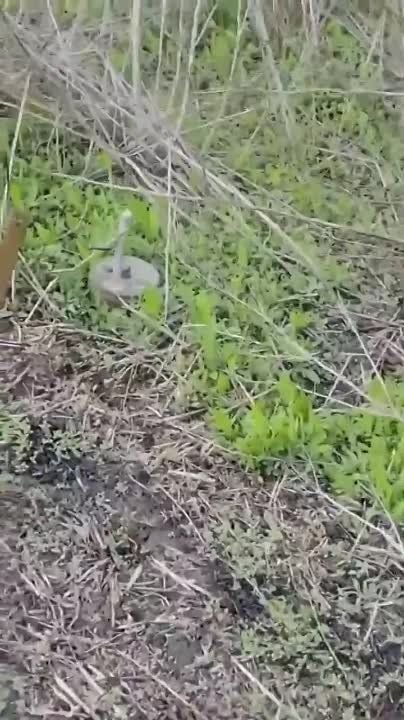 ���������� ������� ��������, ��� ������� ����� ������ ���������� ������������ ���� � ����������� �������