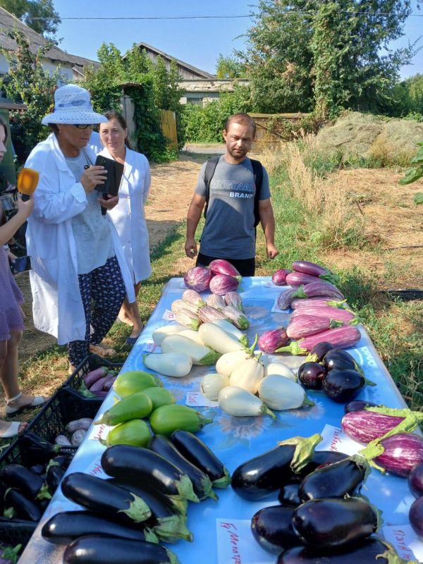 ������ ������� ������ � ��� ���������������� ������-����������������� �������� ��������� ��������� ���������