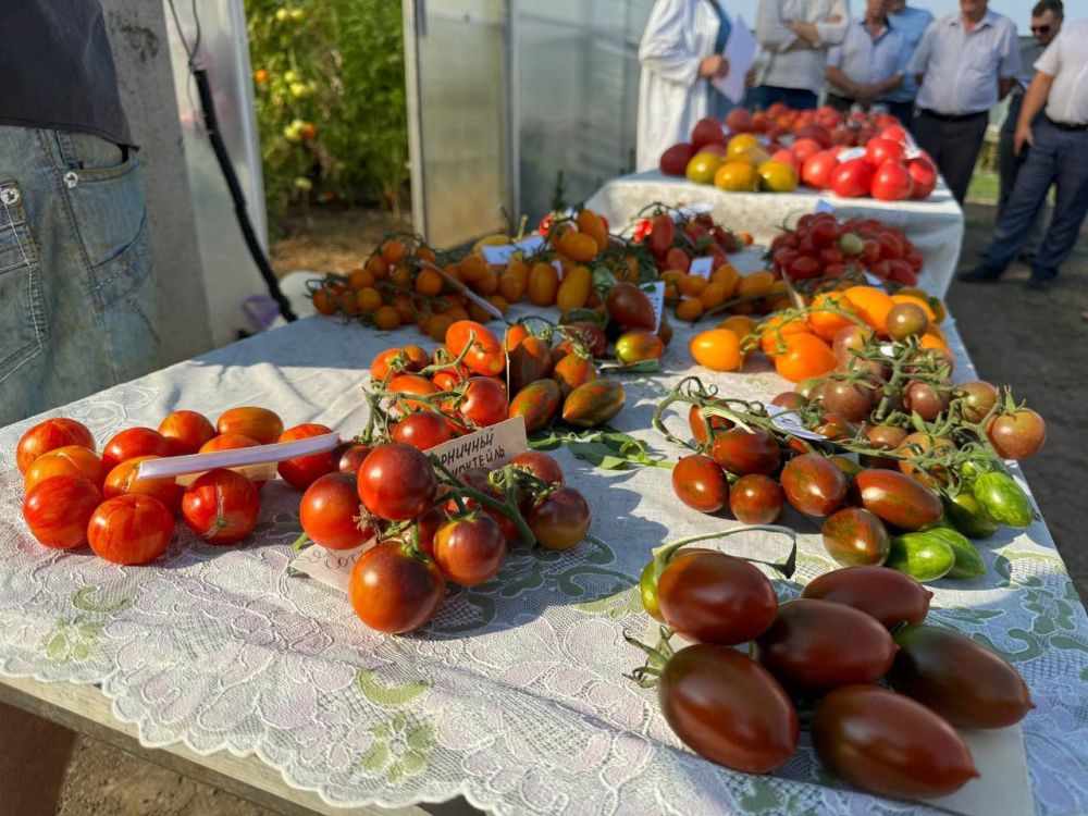 � ��� ��������� ��������� � ���� ���� ��������� 15 ����� �������� ������� � �����