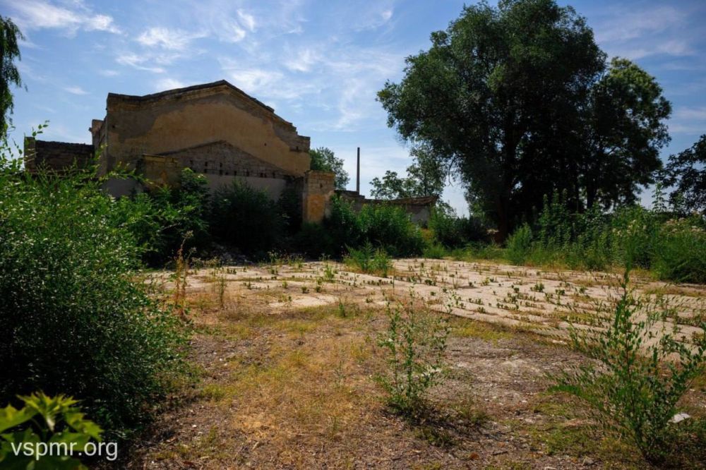 � ����� ��. ������ � �������� ����������� ������������� ������ �������