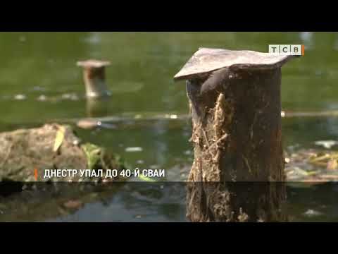 �� ��������������� ����� � ��������� ������ 40-� ������������� ����