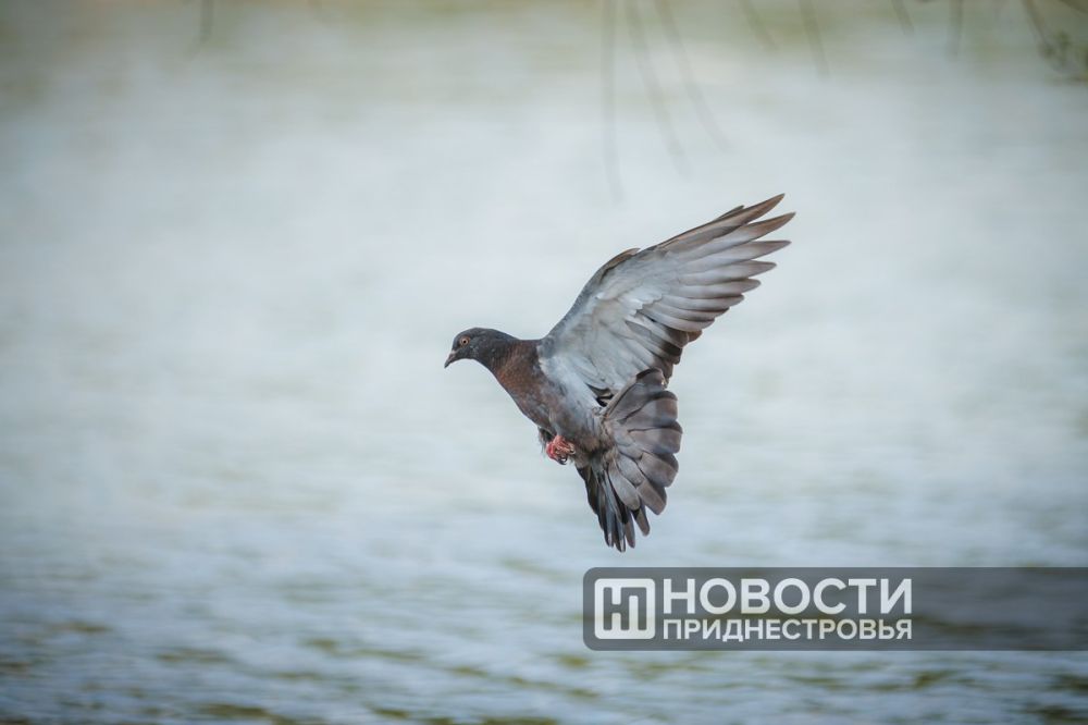 �� �������� + 33, � ����������� �������� ������� ��������������� �����