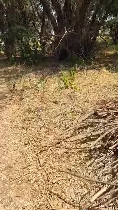 � ���������� ���������� ������ ��������� ������� ��-�� ����, ��� ��� ����� �������� ����������� ������