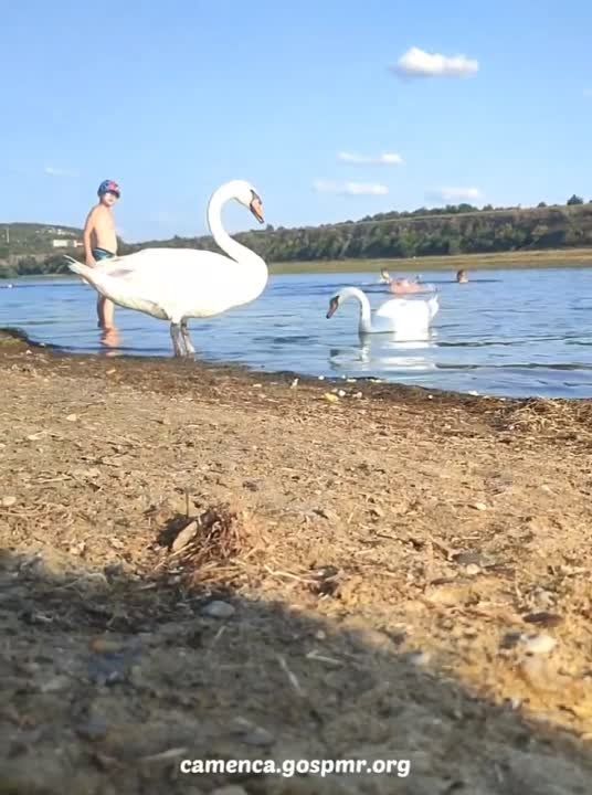 �� ������ ���������� �� ���