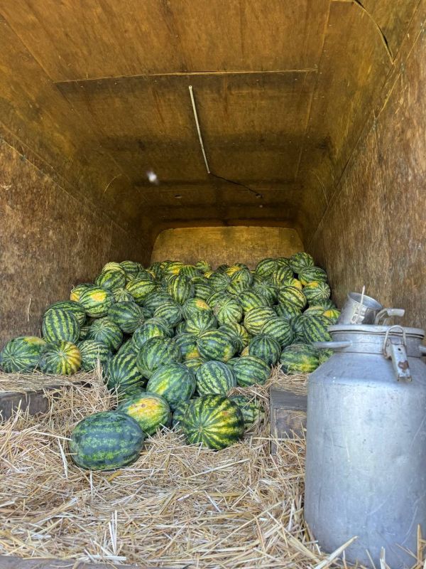 ������ ���� �������� �� 2 ������ ������� � ����� ��������� �� 3 ����� 50 ������