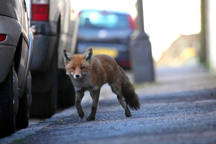 �������������� ���������� ����� ���������� � ������������� �����