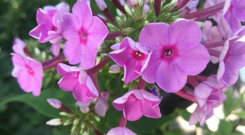 ��� �������� ��������� ����� �� ����� �� � ��, 20 ���� ��������� ���������� ����������, ��� �������