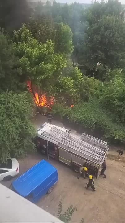 �����, ��� ������ ��� �������� ������ ����� �� ������� �������� � ���������