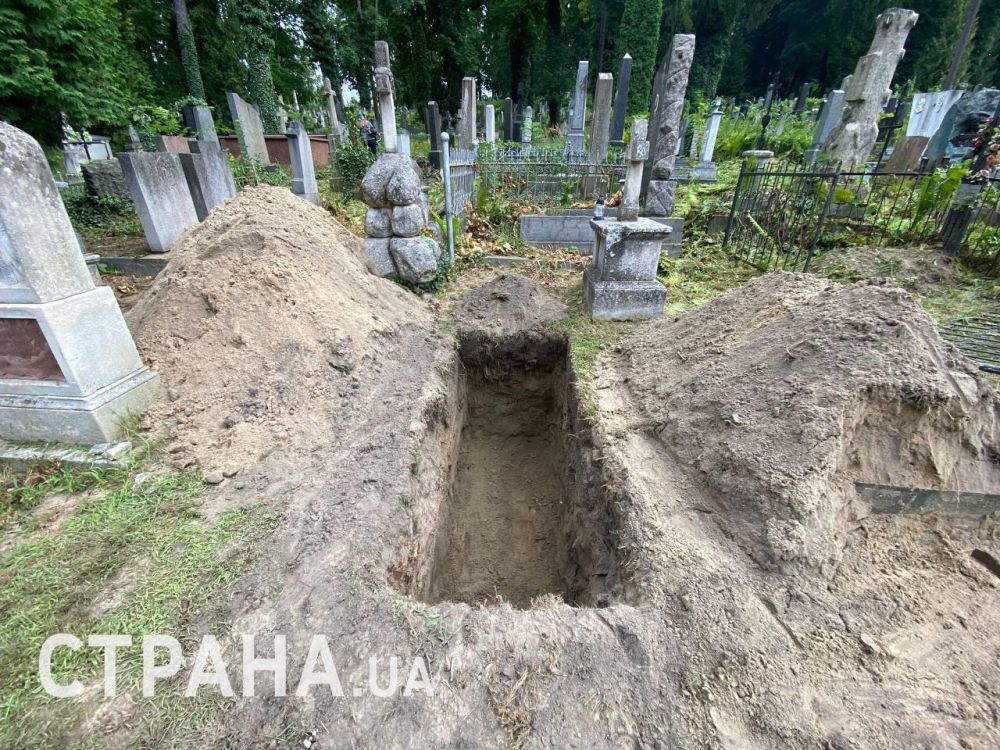 ������. ����� ������������