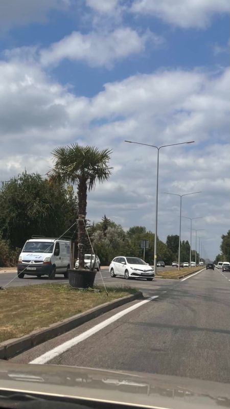 �� ������ � ������� �������� ������